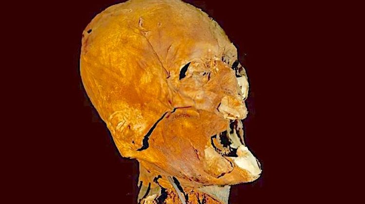 INCROYABLE - La tête momifiée d’Henri IV va bientôt prendre la parole